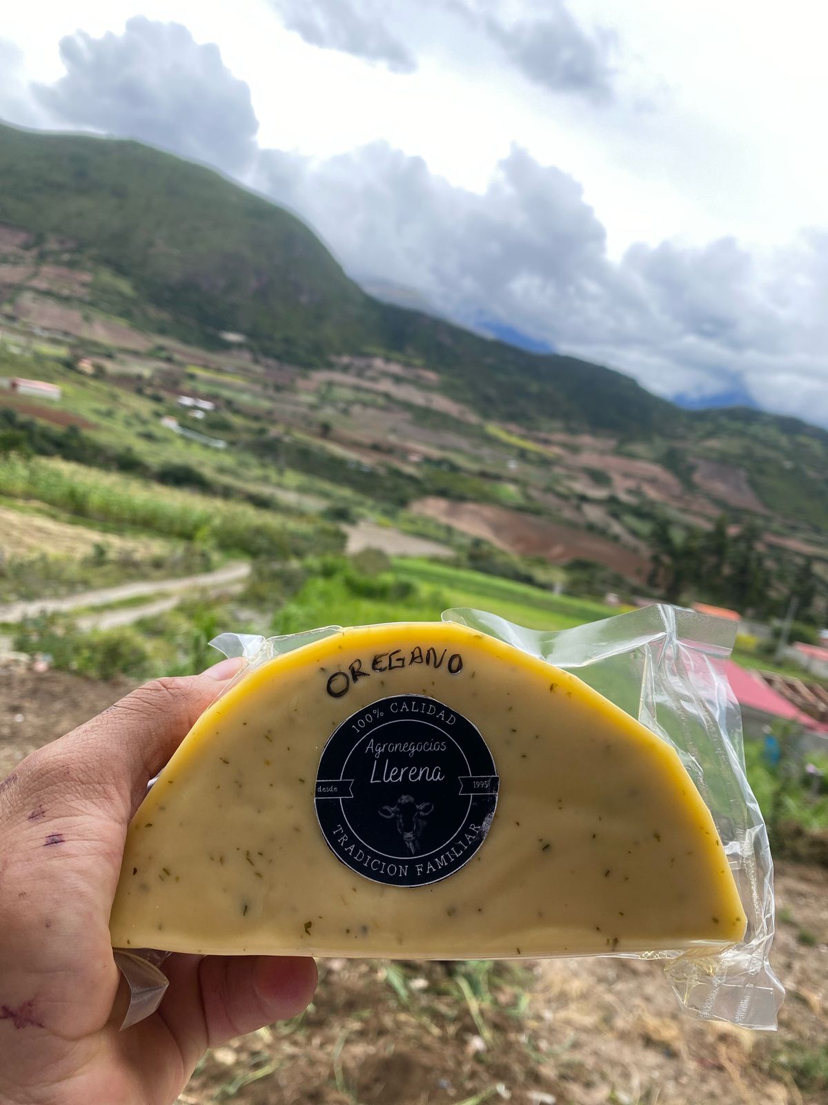 Queso Finas Hierbas